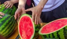 吃免费瓜,共享甜蜜，品味生活